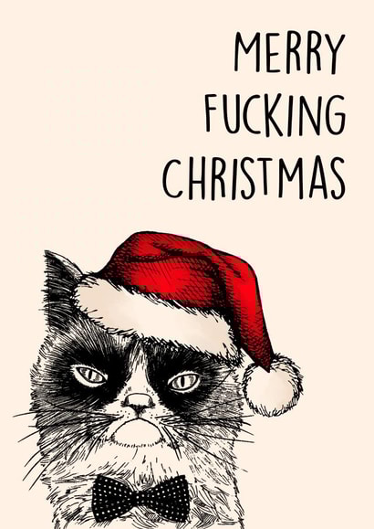 Angry Cat Christmas created by Poppy & Mabel
