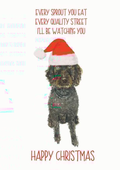 Labradoodle and Sprouts created by Sarah Maddox