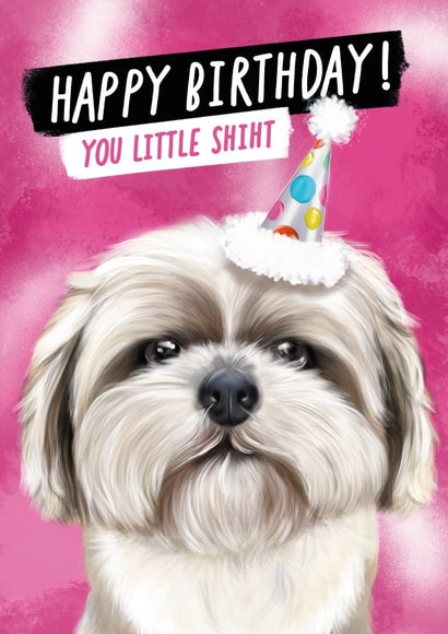 Cheeky Birthday Card for Loved Ones - Shih Tzu - You Little Shiht created by @thats.canny