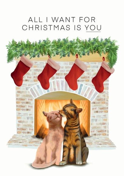 Kissing cats christmas card created by Hot Dog greetings