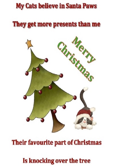 Cat Christmas created by Sarah Louise Carroll