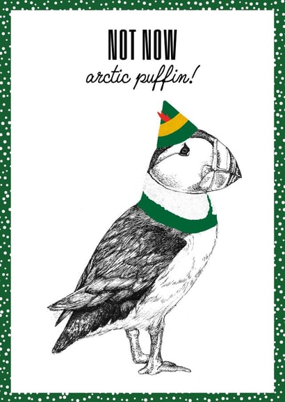 Arctic Puffin created by Hairytails LTD