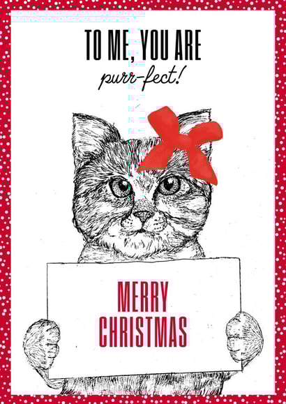 Purr-fect created by Hairytails LTD