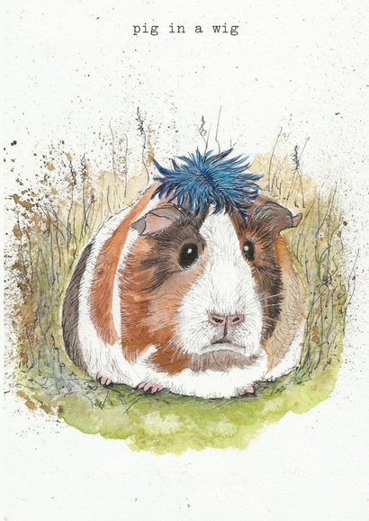 Pig in a Wig created by Animoo Art