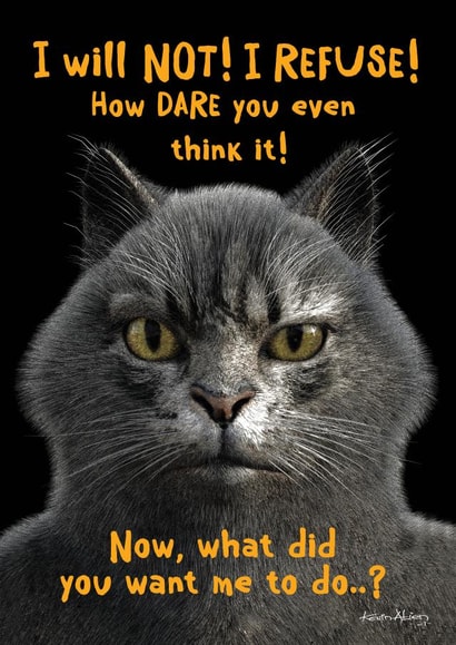 I RESFUSE! created by alienartifacts