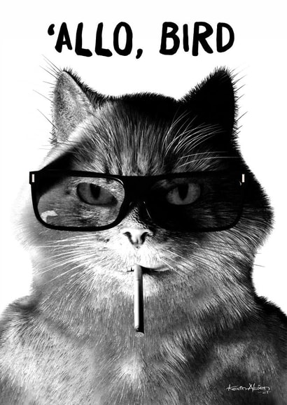 'ALLO, BIRD created by alienartifacts