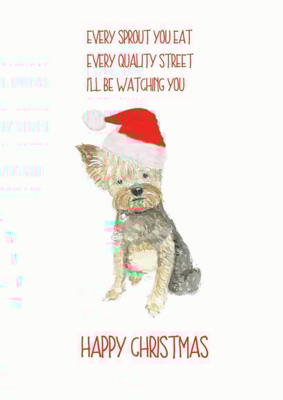 Yorkshire Terrier Father Christmas created by Sarah Maddox