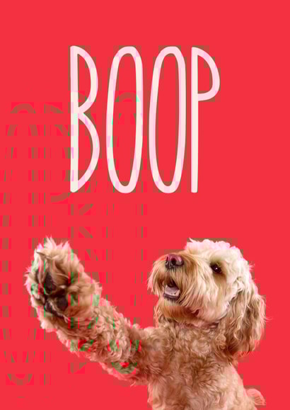 Boop Greetings Card created by The Yorkshire Pawtrait Co.