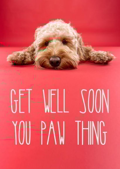Get Well Soon Cockapoo Card 1001 created by The Yorkshire Pawtrait Co.