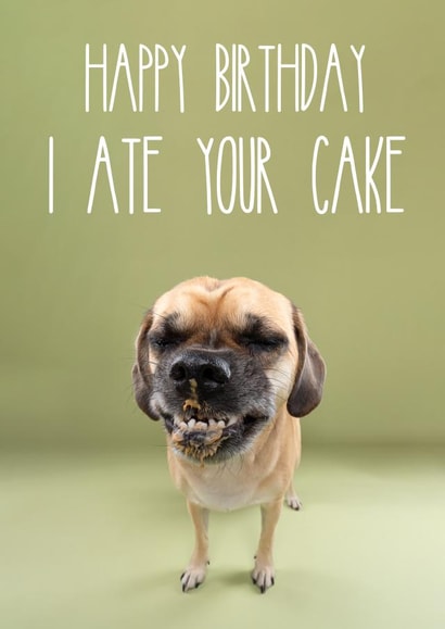 Funny Dog Birthday Card 1001 created by The Yorkshire Pawtrait Co.