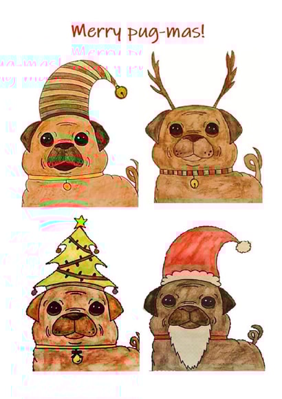 Christmas pugs created by Kirsty's Cartoon Cards