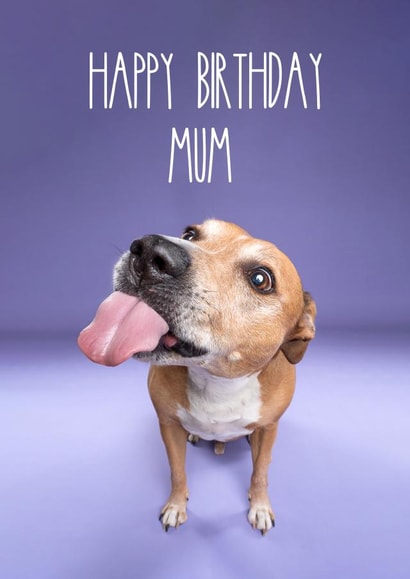Happy Birthday Mum From The Dog created by The Yorkshire Pawtrait Co.