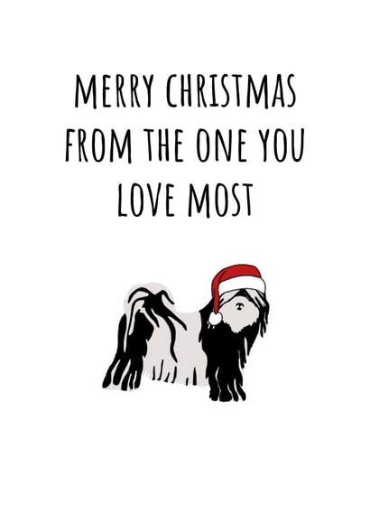 Cute dog christmas card funny Santa puppy | thortful