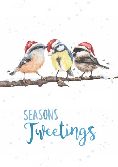 Garden birds Christmas card  created by Citrus Bunn