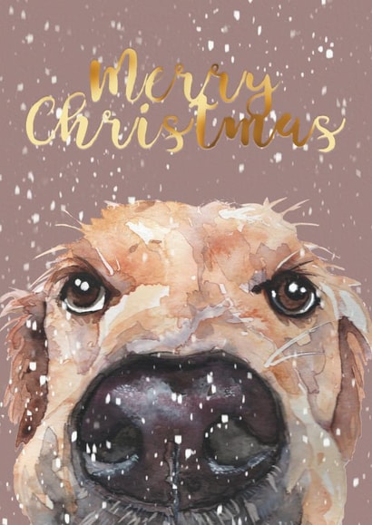 Golden Labrador Retriever Christmas Card created by Jo Scott Art