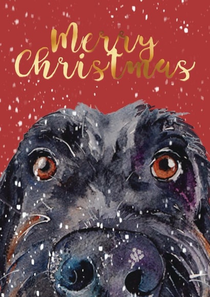 Labradoodle Merry Christmas created by Jo Scott Art