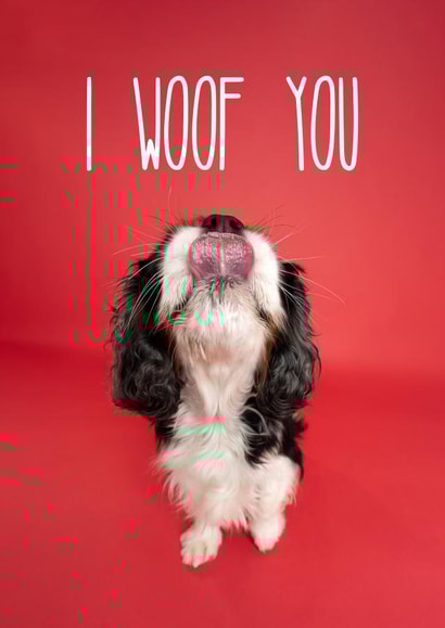 I Woof You Dog Card created by The Yorkshire Pawtrait Co.