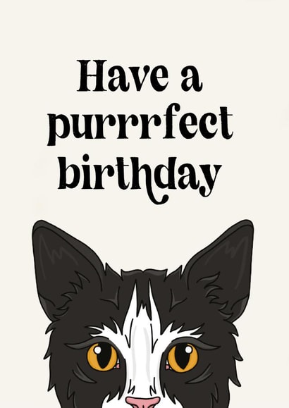 Purrrfect Birthday Card created by Penny and Me