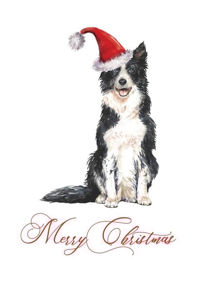 Border Collie Dog Merry Christmas Cute Card created by Fauna and Flo Creative