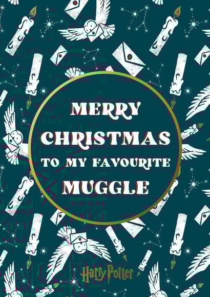 Merry Christmas Muggle Harry Potter Christmas card  1001 created by Cardology