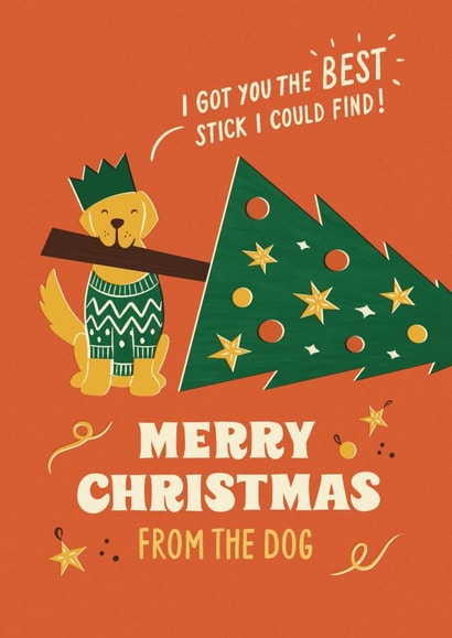 Cute and Funny Pet Dog Christmas Card - from the dog - for dog lovers and owners created by Bird & Co Studio