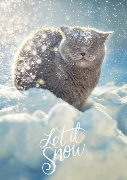 Let it snow  1001 created by Alina Shevelina