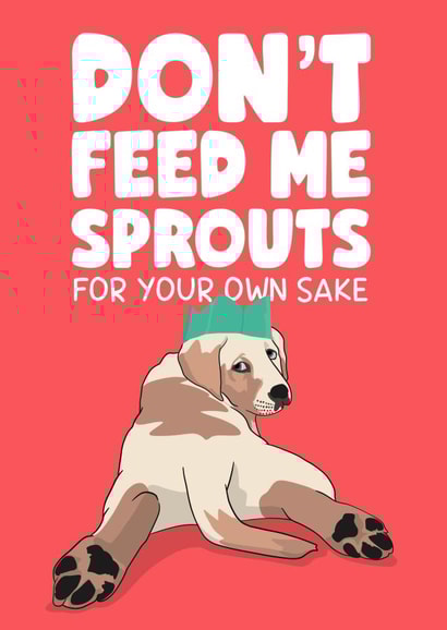 Don’t feed me sprouts created by Daniella Illustrates 