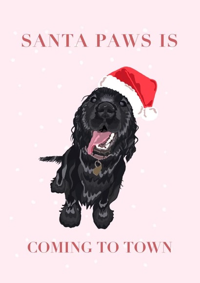 Santa paws is coming to town created by Katie McCormick