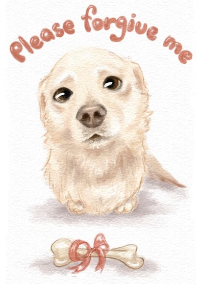 Sorry card created by Lovely pictures