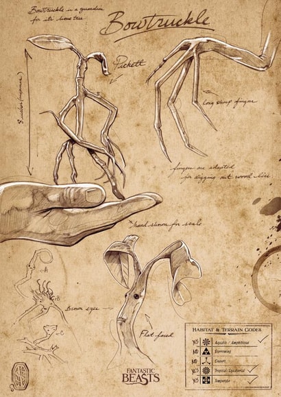 Bowtruckle Fantastic Beasts Harry Potter Card created by Cardology