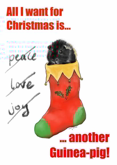 All I want for Christmas... created by The Good Guinea