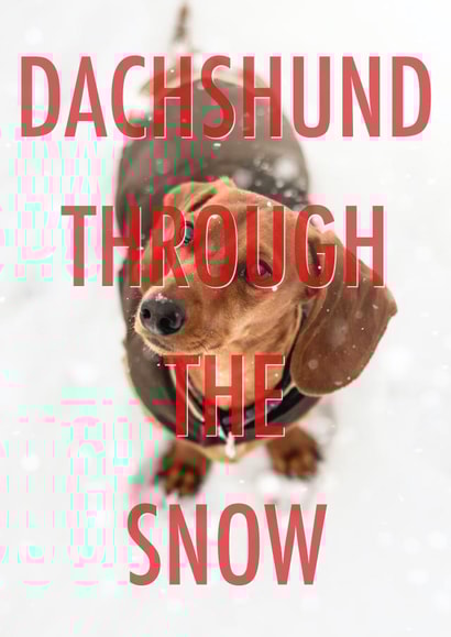 Dachshund through the snow created by Number 27 Design