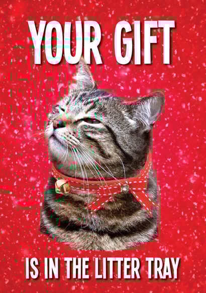 Your Christmas Gift is in the Cat Litter Tray created by kissmekwik