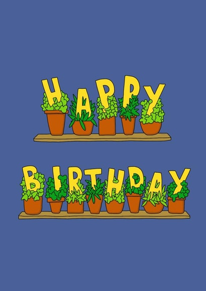 Birthday Pot Plants created by Tom Delves Illustration 