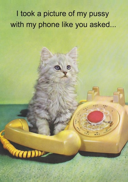 A Picture of a Pussy with a Phone created by kissmekwik