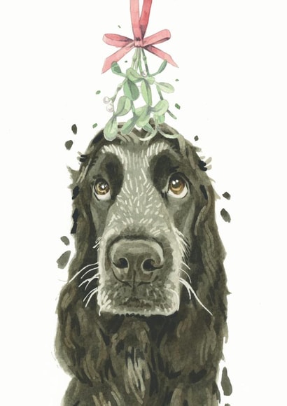 Cocker Spaniel Christmas Card created by Robert James Hull