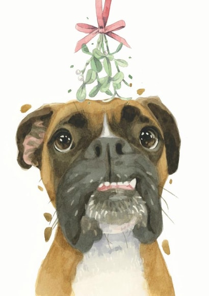 Boxer Dog Christmas Card created by Robert James Hull