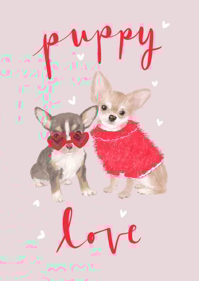 Chihuahua Valentines Day Card Cute Puppy Love Dog Illustration created by Honey & Velvet Studio