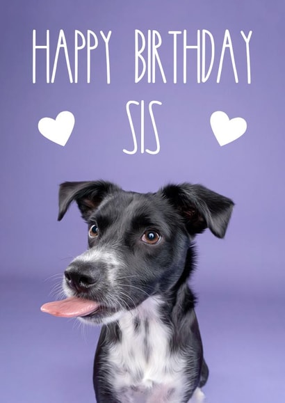 Happy Birthday Sis Puppy Dog Card created by The Yorkshire Pawtrait Co.