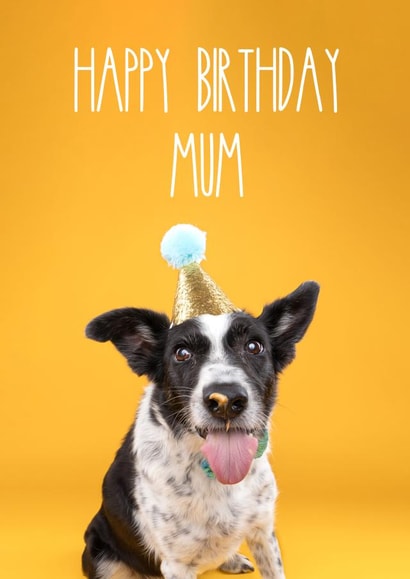 Happy Birthday Mum Dog Card created by The Yorkshire Pawtrait Co.