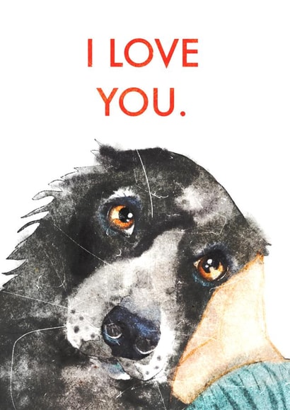 Cute Border Collie Anniversary Card / Valentines Day Card - I Love You created by Jo Scott Art