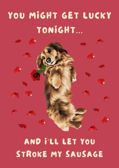 Long Haired Sausage Dog 'Stroke My Sausage ' Cheeky Valentine's Day/Anniversary Card created by Cujo Creations