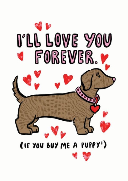 Dachshund valentine's day card created by Kate Wand