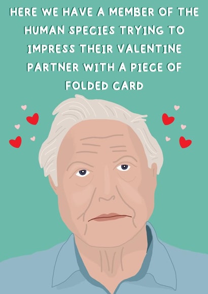 David Attenborough Valentines day card created by Red Koala