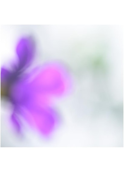 Love created by Raviprakash SS