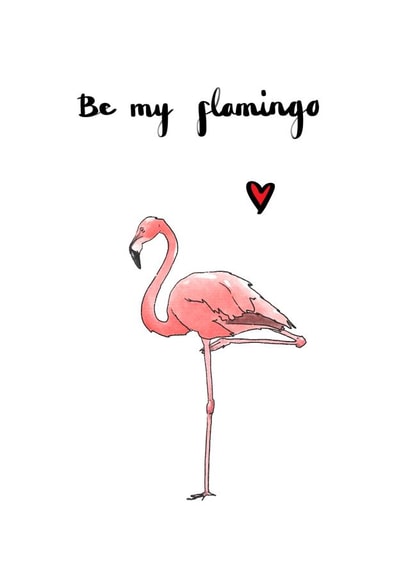 Be my flamingo created by AVO-CARDO