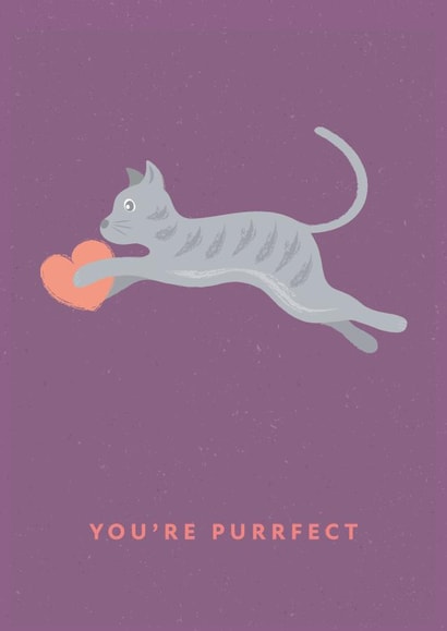 Cat Lover's Valentine created by X, Y & Z Design