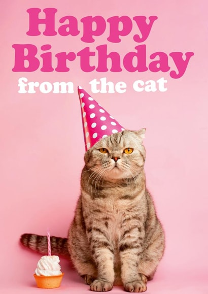 Happy Birthday from the Cat created by Dean Morris Cards