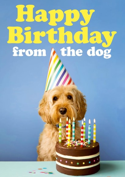 Happy Birthday from the Dog created by Dean Morris Cards
