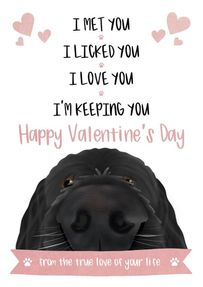 Black Dog Valentines Card created by The Merry Giraffe